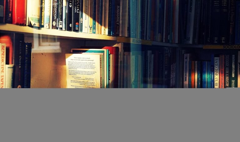 jae lin biography and career